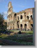 Scorcio del Colosseo * 11/03/01 16.46