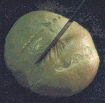 Intagliare la pagnotta