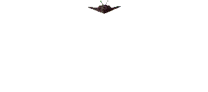 Stealth