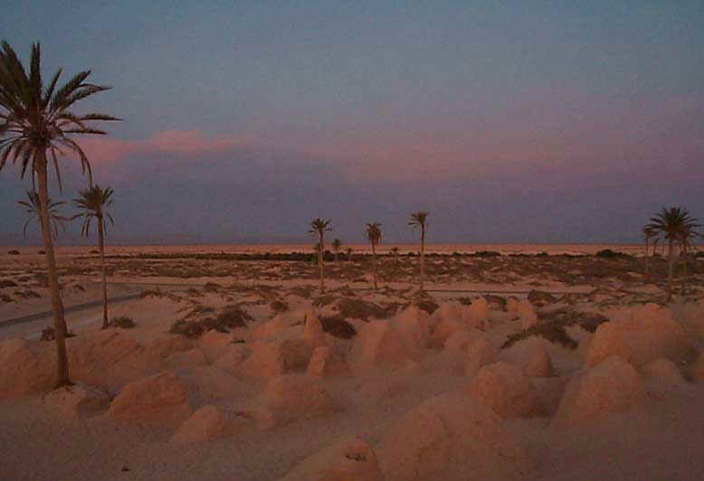 Clicca qui per tornare alla pagina delle vacanze in Tunisia