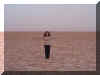 2.jpg (28082 byte)