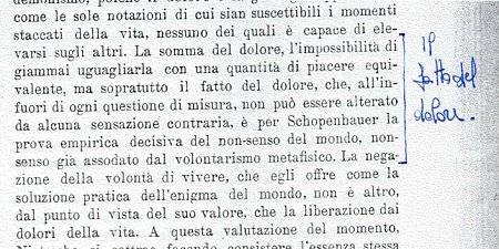 Testo evidenziato - G. Simmel, Schopenhauer e Nietzsche, Torino, Paravia, 1923, p.11