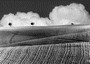 Il cavaliere solitario
