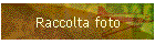 Raccolta foto