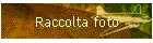 Raccolta foto