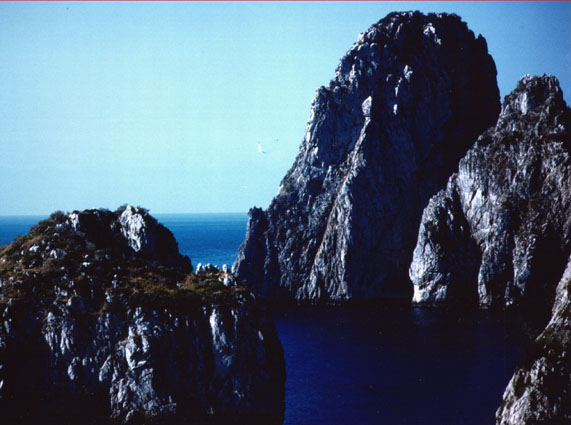 I Faraglioni (Capri, Naples, 1982)