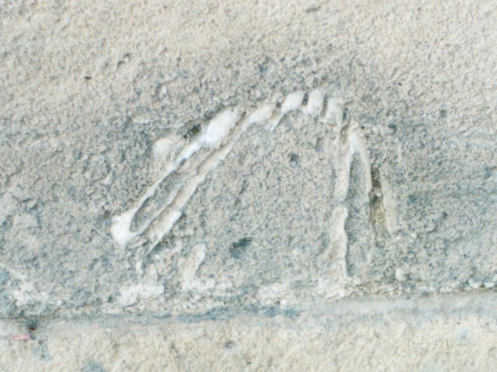 Fossil Shell in Tufa (Rodi Garganico, Italy, 2004)