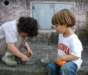 Photo Number 11