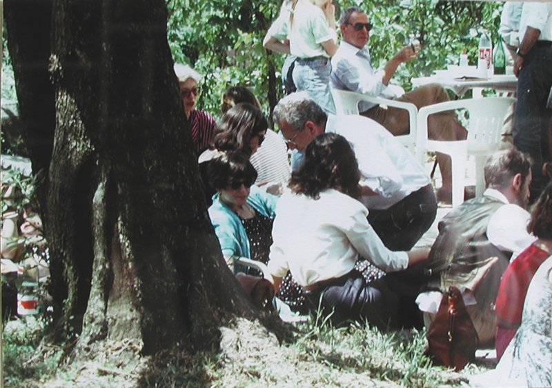 Photograph