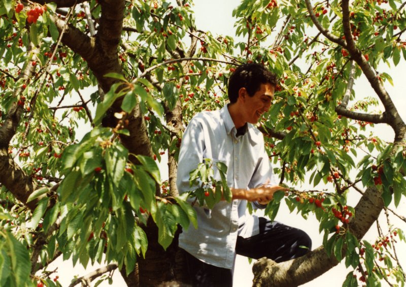 Photograph