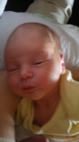 foto11.jpg