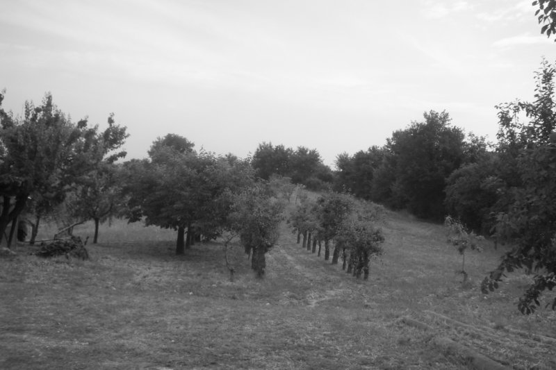 photo.jpg