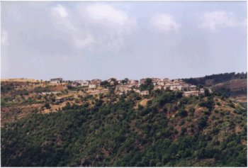 Mucciafora