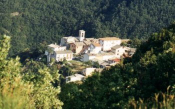 Nortosce