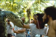 Pirates - Roman Polanski