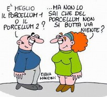 Porcellum - Consulta