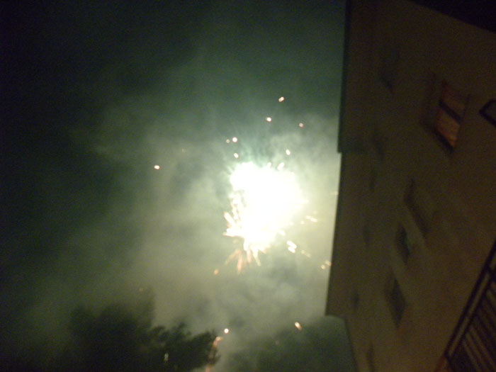 DSCN0695