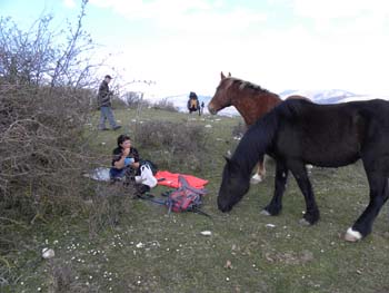 DSCN1664
