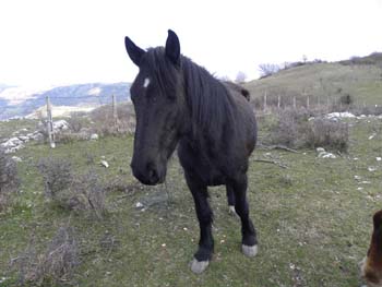 DSCN1667