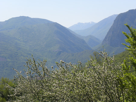 DSCN2472
