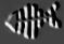 sp_fish.jpg (1027 byte)