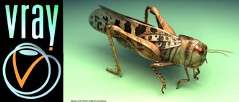 VRay renderer