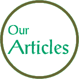 Our Articles