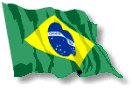 brasilian flag