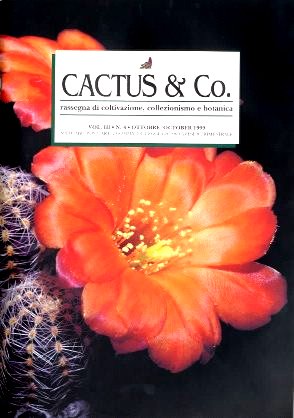 cover72.jpg (29231 byte)