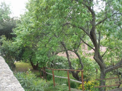 Campiglia Marittima