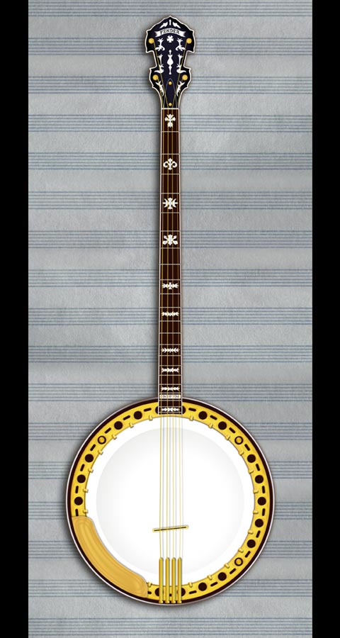 Details of Fender Banjo