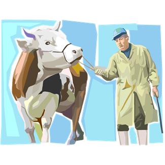 logo corso Caseificio Aziendale