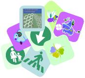 logo SFM -particolare