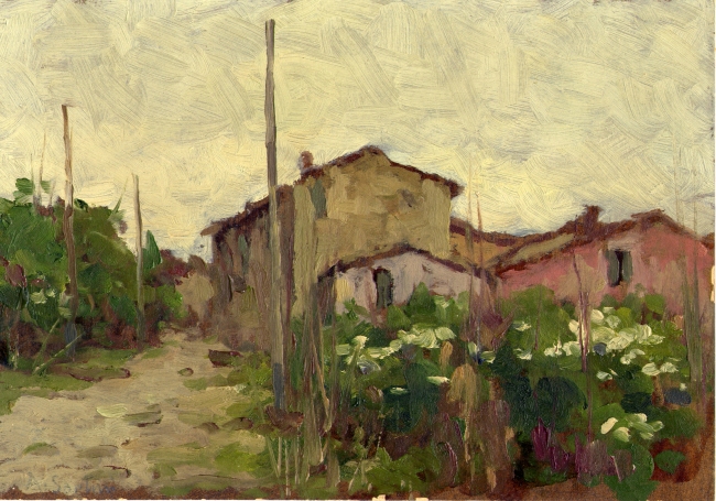 Sartini: Siepe fiorita di biancospino