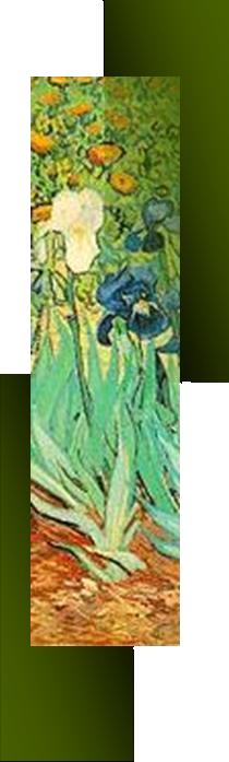 Van Gogh: Iris - particolare