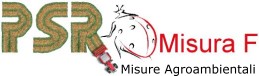 logo misura F