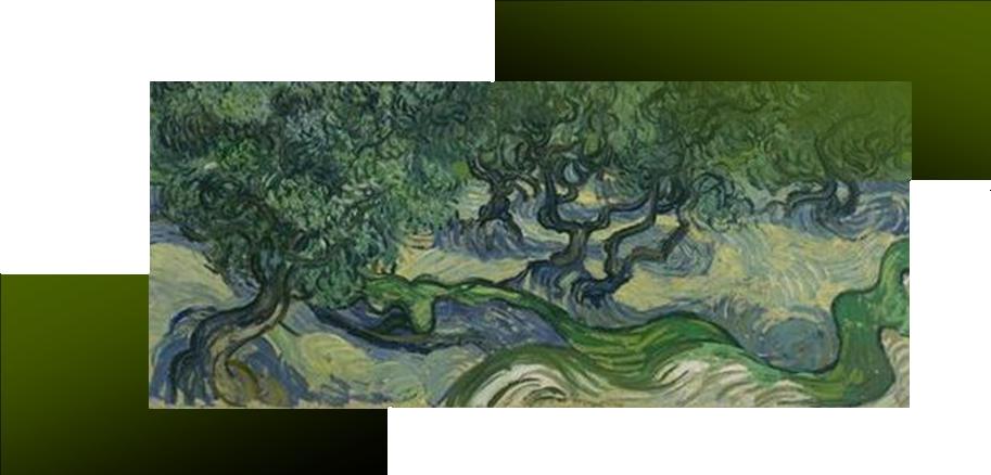 Van Gogh: Olivi - particolare