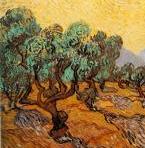 Olivo Van Gogh