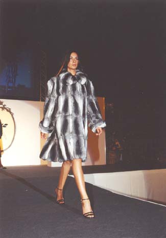 ESEMPIO DI CINCILLA' CORTO