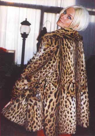 ESEMPIO DI LEOPARD CAT