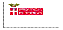 Casella di testo:  