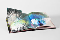 Pink Laser Beam, chapter by Andy Simionato