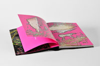 Pink Laser Beam, chapter by Damon Zucconi