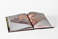 Pink Laser Beam, chapter by Harm Van Den Dorpel