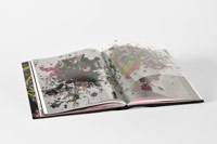 Pink Laser Beam, chapter on plastic by Shane Hope