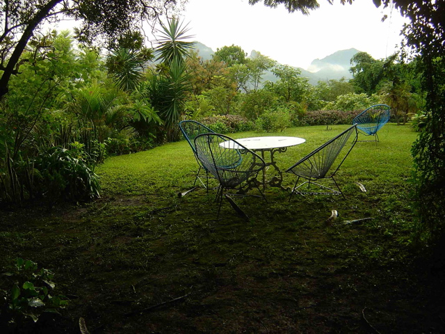 view of the garden
