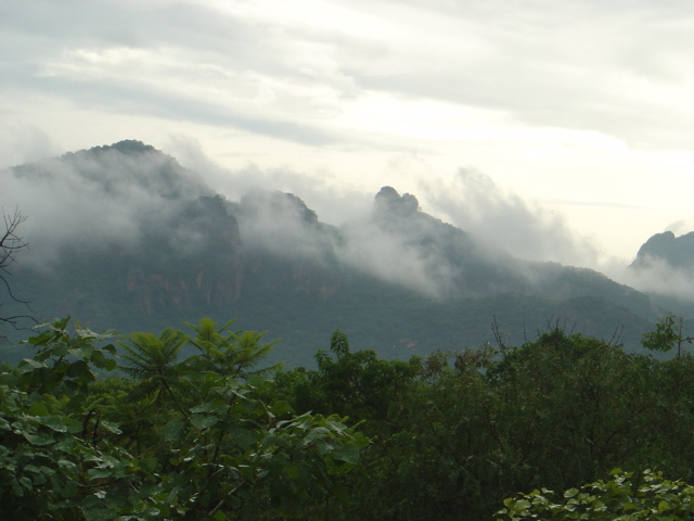 mountainsview