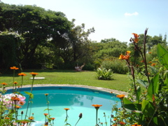 yoga in the garden