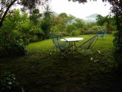 view of the garden