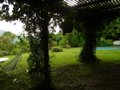 view from the veranda